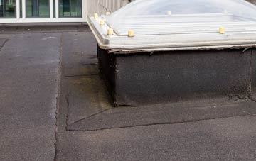 disadvantages of Fyning flat roofs