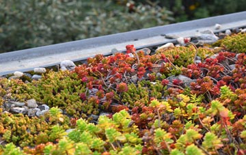 the cost of Fyning green roof installation