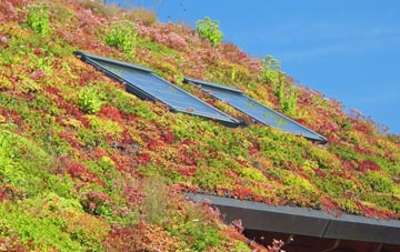 Fyning living roof systems